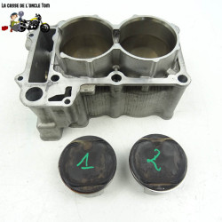 Cylindre et pistons Yamaha 530 T max 2013 - CTM-7933-79