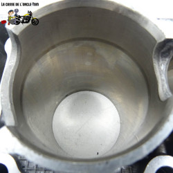 Cylindre et pistons Yamaha 530 T max 2013