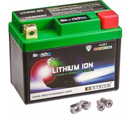 Batterie SKYRICH Lithium-Ion - HJ01 - 1080626