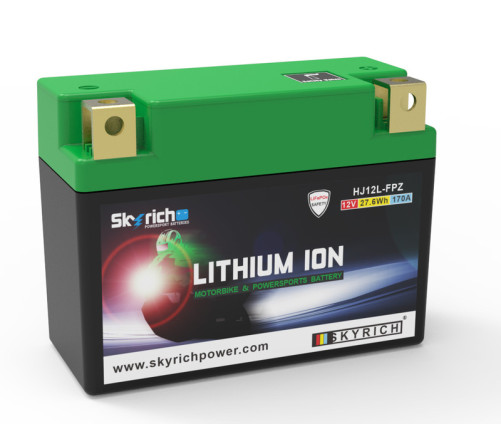 Batterie SKYRICH Lithium-Ion - HJ12L-FPZ - 1125259