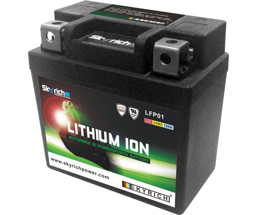 Batterie SKYRICH Lithium-Ion - LFP01