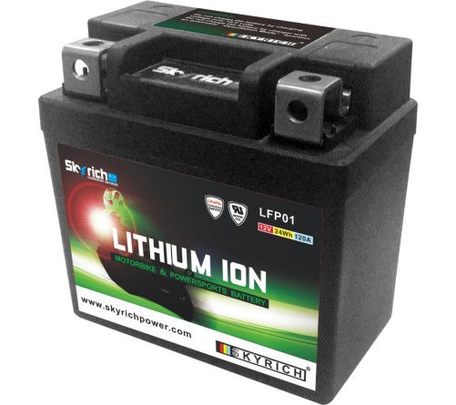 Batterie SKYRICH Lithium-Ion - LFP01 - 1079094