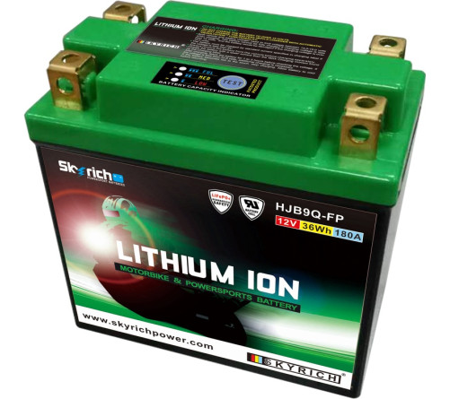 Batterie SKYRICH Lithium-Ion - LIB9 - 1079106