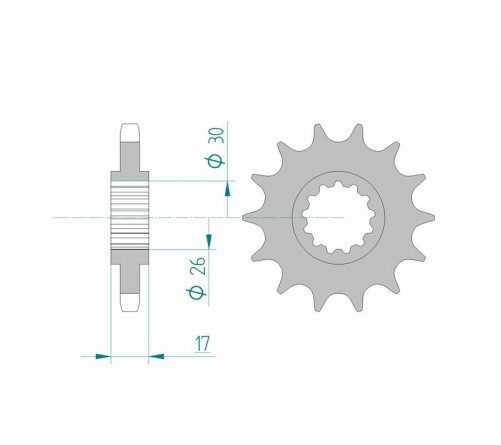 Pignon AFAM acier standard 20603 - 530