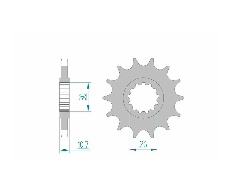 Pignon AFAM acier standard 21607 - 525