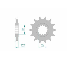 Pignon AFAM acier standard 21607 - 525