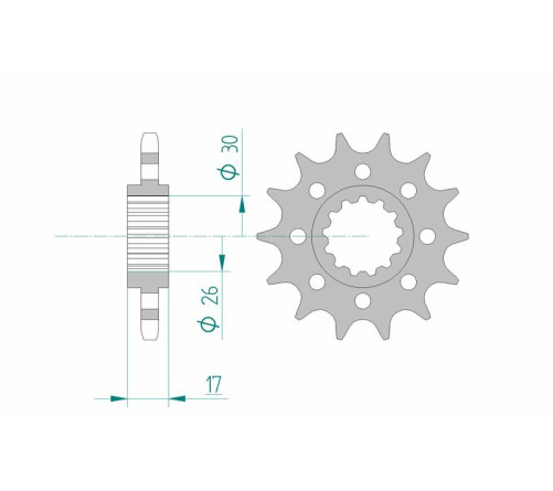 Pignon AFAM acier standard 20615 - 525