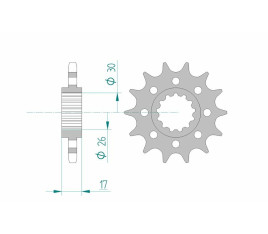 Pignon AFAM acier standard 20615 - 525