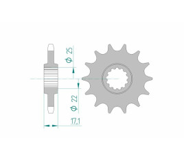 Pignon AFAM acier standard 20405 - 525