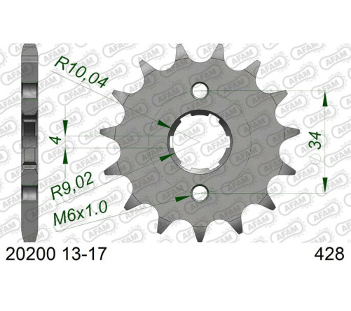 Pignon AFAM acier standard 20200 - 428