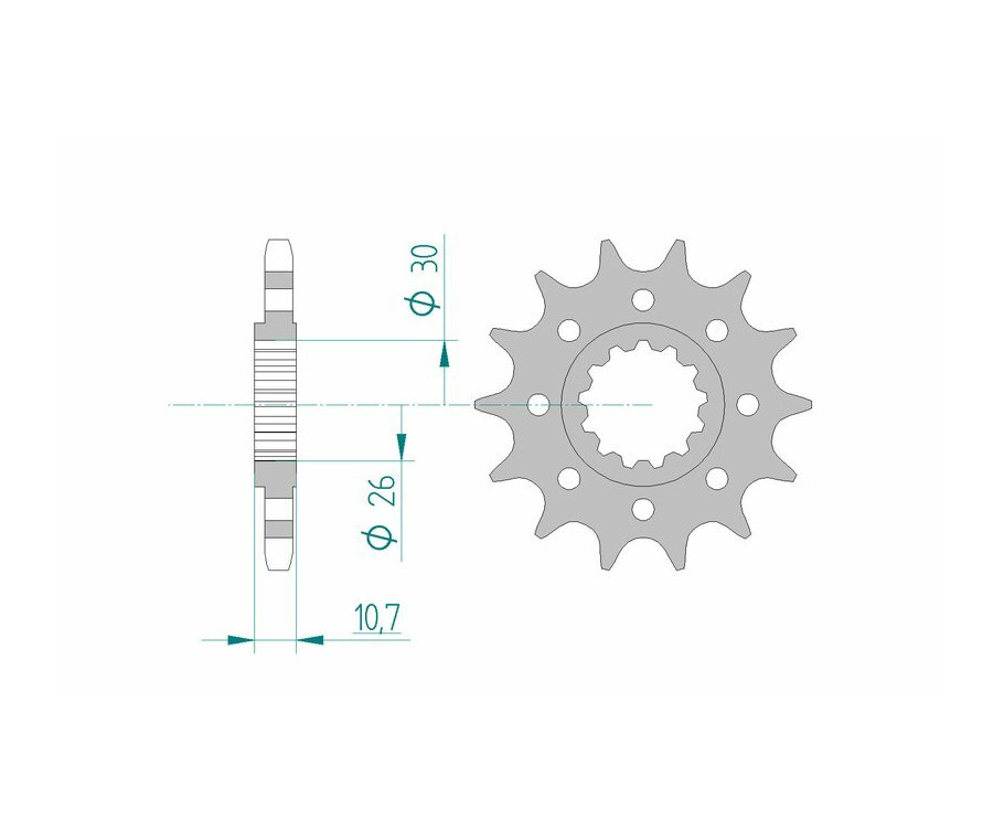 Pignon AFAM acier standard 21805 - 525