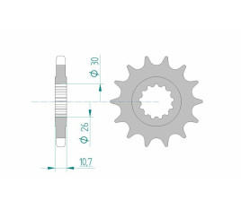 Pignon AFAM acier standard 21801 - 530