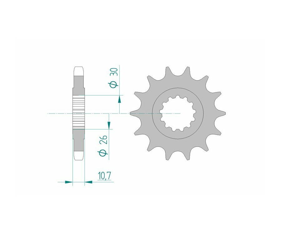 Pignon AFAM acier standard 21801 - 530