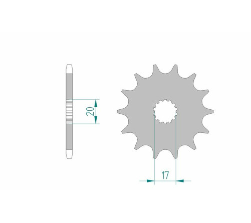 Pignon AFAM acier standard 21203 - 520