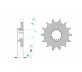 Pignon AFAM acier standard 24508 - 525