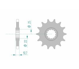 Pignon AFAM acier standard 21606 - 525