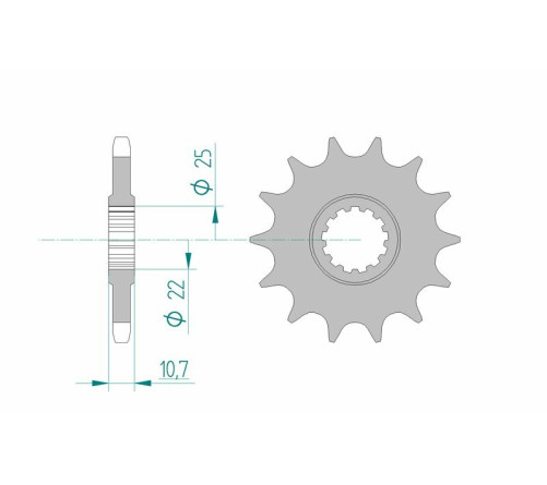 Pignon AFAM acier standard 21606 - 525