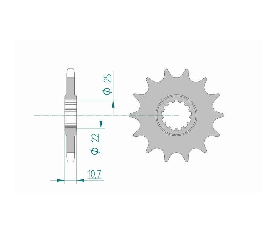 Pignon AFAM acier standard 21606 - 525