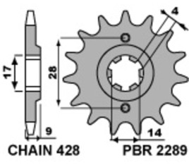 Pignon PBR acier standard 2289 - 428 - 1077629001