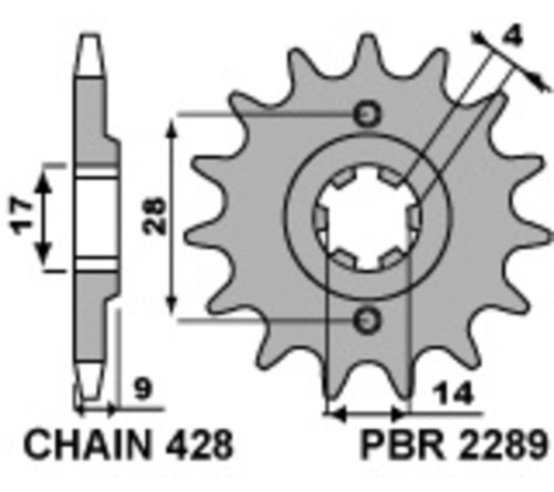 Pignon PBR acier standard 2289 - 428 - 1077629001