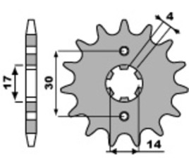 Pignon PBR acier standard 270 - 420 - 1074317001