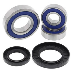 Kit roulements de roue arrière ALL BALLS Suzuki DL650/1000 V-Strom - 1039919