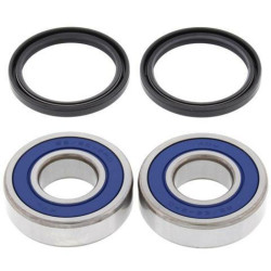 Kit roulements de roue arrière ALL BALLS TM - 1039943