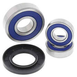 Kit roulements de roue arrière ALL BALLS Suzuki GSX-R750 - 1039928