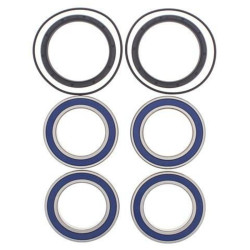 Kit roulements de roue arrière ALL BALLS Suzuki LT-R450 - 1039932