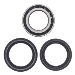 Kit roulements de roue arrière ALL BALLS Honda Fourtrax Rincon 650/Honda TRX680 Rincon - 1039845