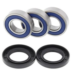 Kit roulements de roue arrière ALL BALLS Yamaha TT-R250 - 1039966