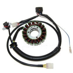 Stator ELECTROSPORT - Polaris