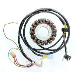 Stator ELECTROSPORT - Polaris Sportsman 450/500