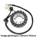 Stator ELECTROSPORT - BMW G650