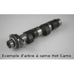 Arbre à cames HOT CAMS - Niveau 1 Polaris