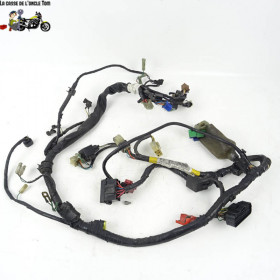 Faisceau électrique Honda 500 CBF 2004 - CTM-8855-020