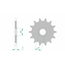 Pignon AFAM acier standard 94109 - 420