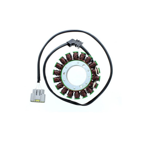 ELECTROSPORT Stator ESG 131 FJR 1300 (06-13)5