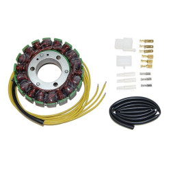 ELECTROSPORT Stator S03