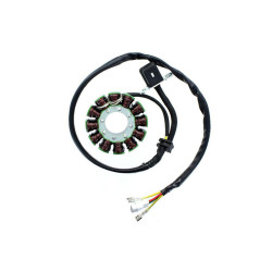 ELECTROSPORT Stator ESG 169 KTM 350 SXF/KTM 350 XC-F, 11-14