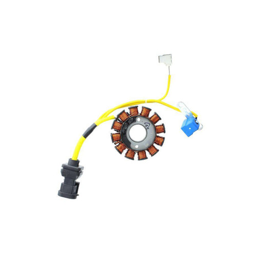 ELECTROSPORT Stator ESG 194 Aprilia-Vespa-Piaggio