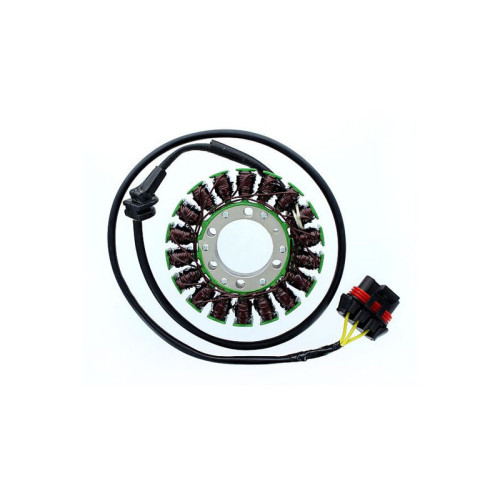 ELECTROSPORT Stator ESG 306 CAN AM