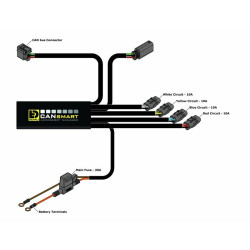 Kit de feux de brouillard DENALI D3 CANsmart™ GEN II