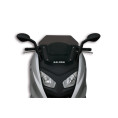 Bulle MALOSSI Sport - BMW C600