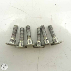 Visserie disque/ piste Abs arrière Royal Enfield 350 meteor 2023