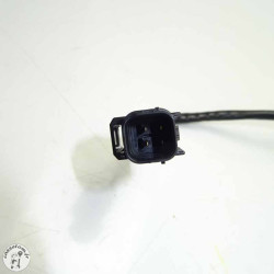 Sonde lambda Royal Enfield 350 meteor 2023