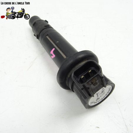 Bobine crayon Yamaha 1000 Fz1 2006 - CTM-10999-055