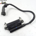 Bobine d'allumage Suzuki 250 Inazuma 2012