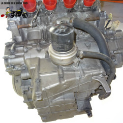 Moteur Honda (SC48) 900 cb f Hornet 2002